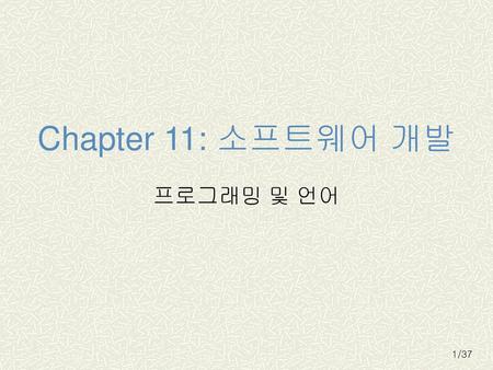 Chapter 11: 소프트웨어 개발 프로그래밍 및 언어.