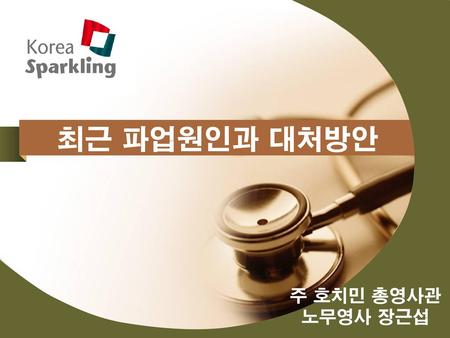 최근 파업원인과 대처방안 주 호치민 총영사관 노무영사 장근섭.