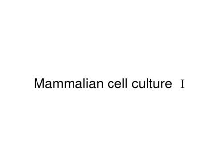 Mammalian cell culture Ⅰ