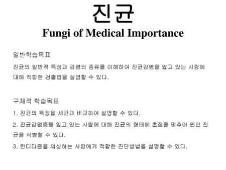 진균 Fungi of Medical Importance