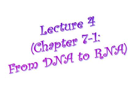 Lecture 4 (Chapter 7-1: From DNA to RNA).