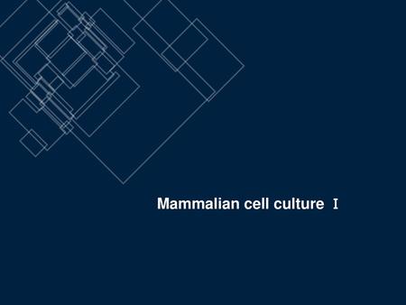 Mammalian cell culture Ⅰ