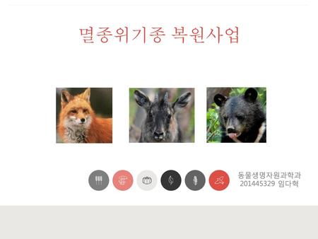 멸종위기종 복원사업 파워포인트의 무한한 가능성 동물생명자원과학과 201445329 임다혁.