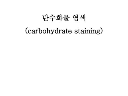 탄수화물 염색 (carbohydrate staining)