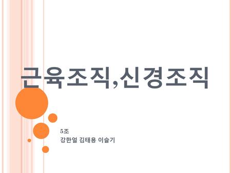 근육계통 (Muscular System) - Ppt Download