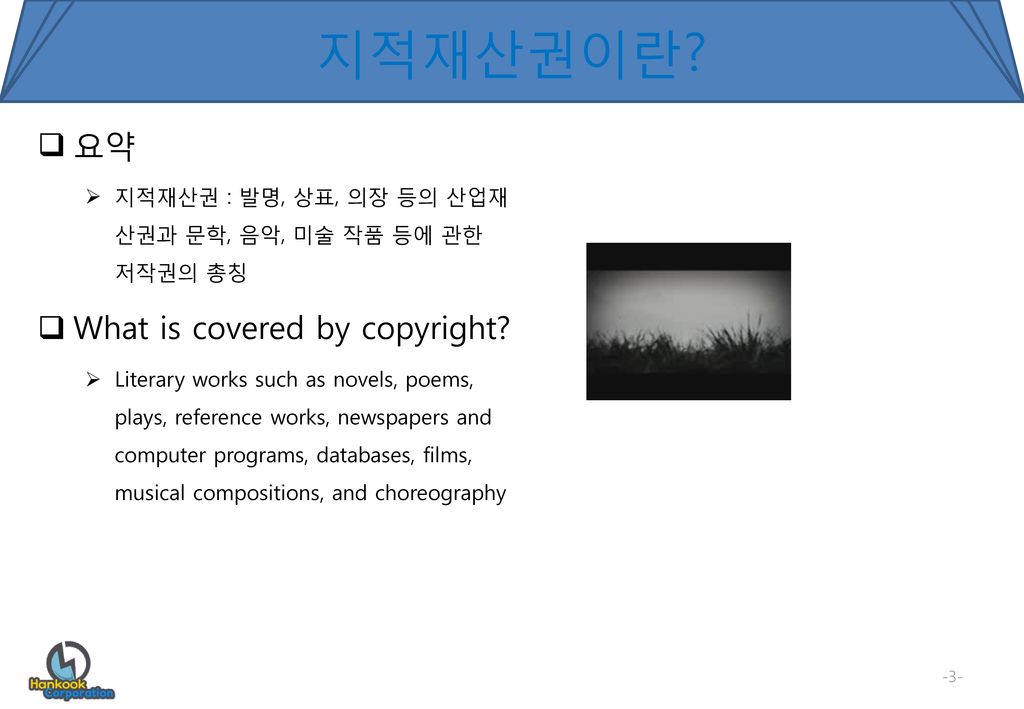 지적재산권이란 요약 What is covered by copyright
