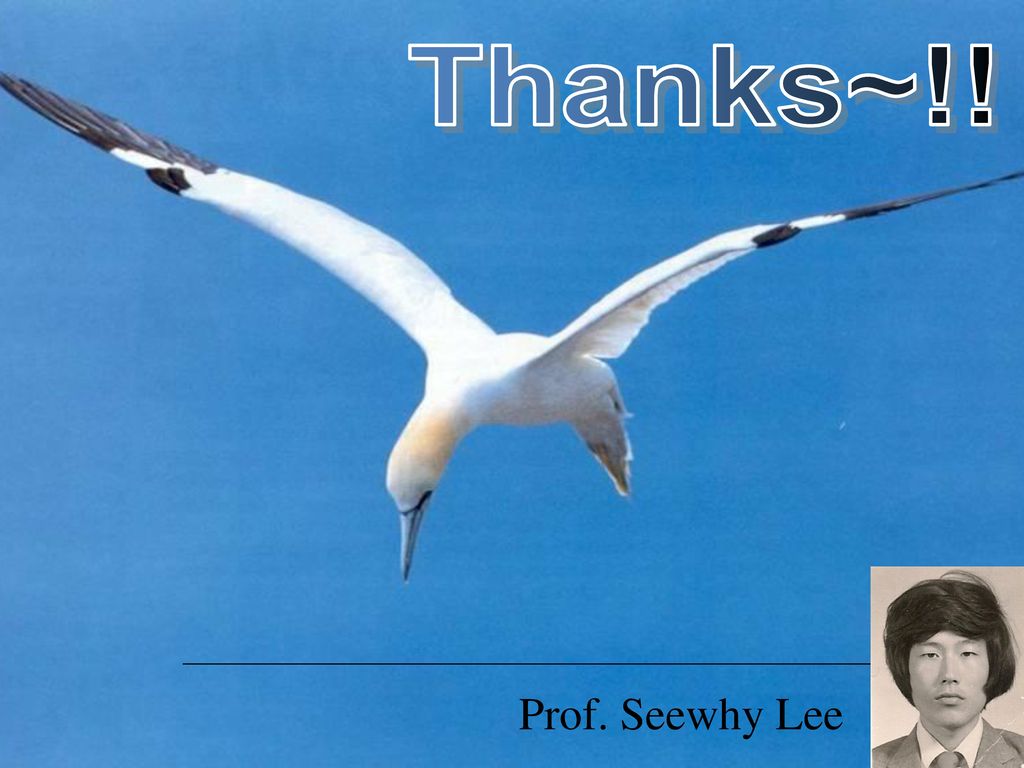 Thanks~!! Prof. Seewhy Lee