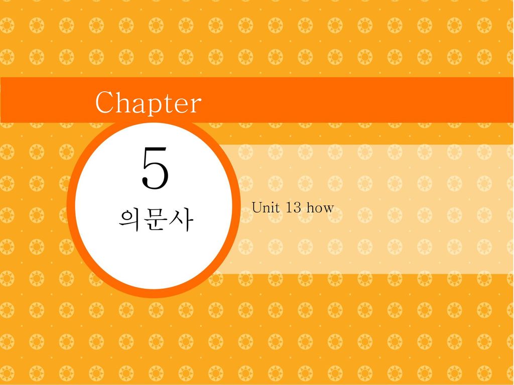Chapter 5 Unit 13 how 의문사