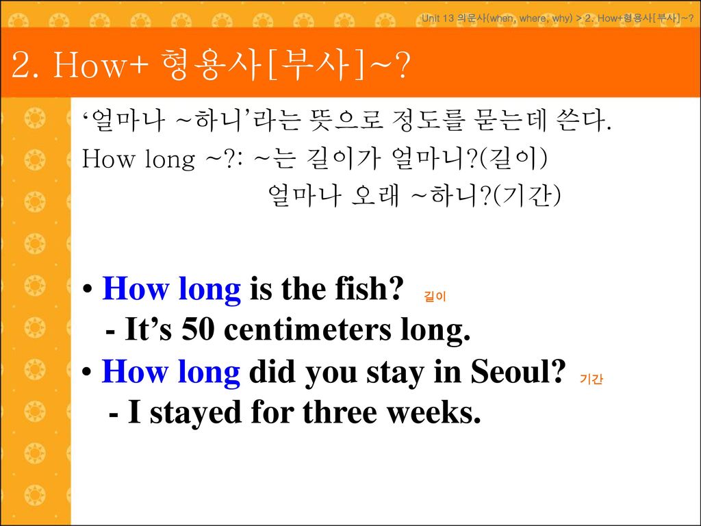 2. How+형용사[부사]~ How long is the fish How long