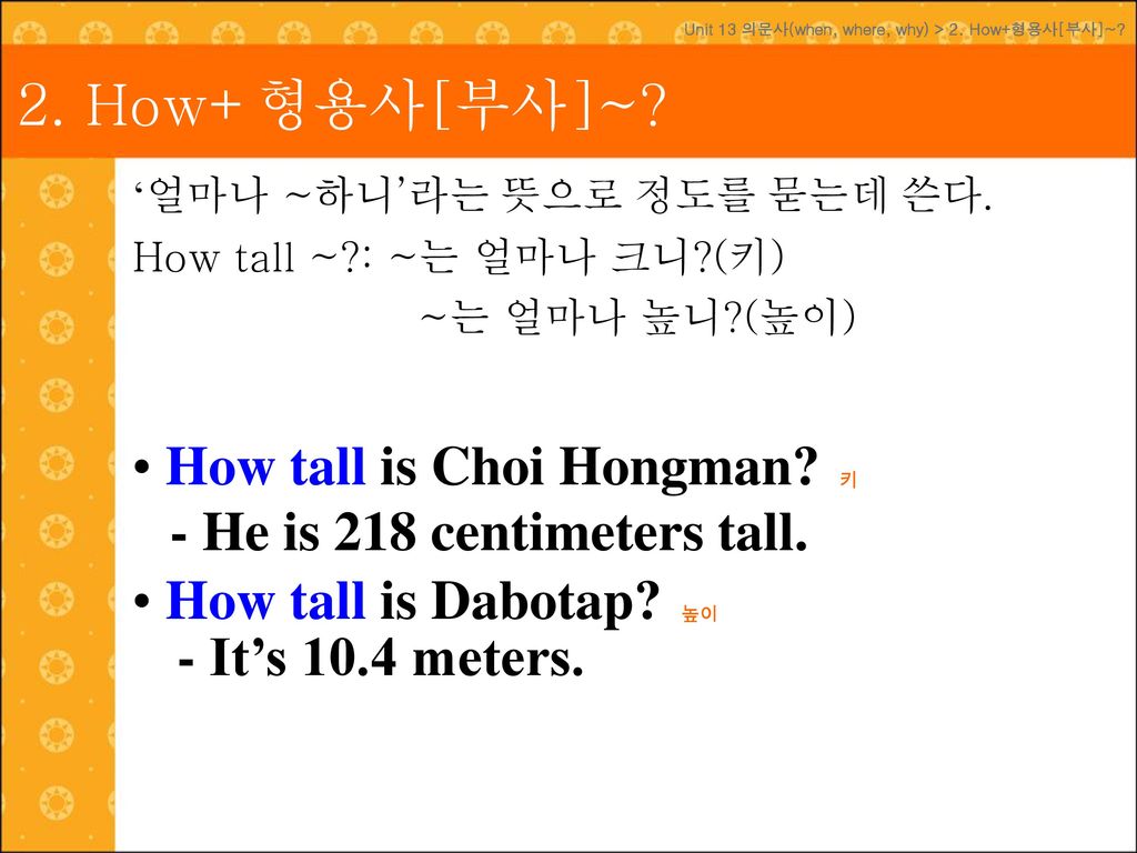 2. How+형용사[부사]~ How tall is Choi Hongman How tall