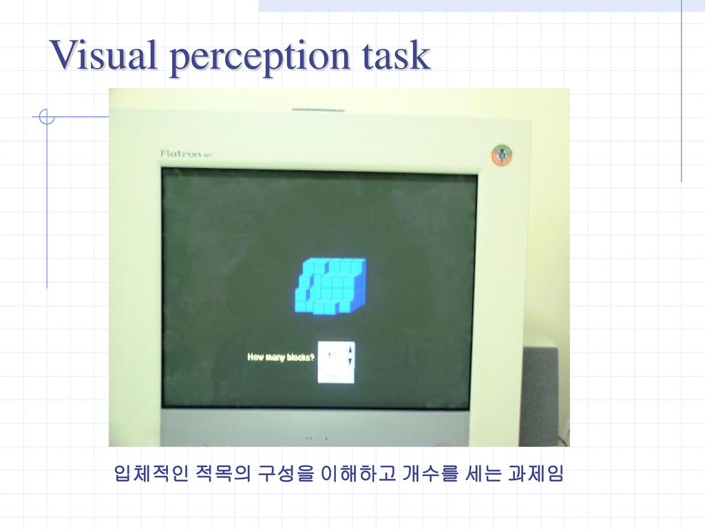 Visual perception task