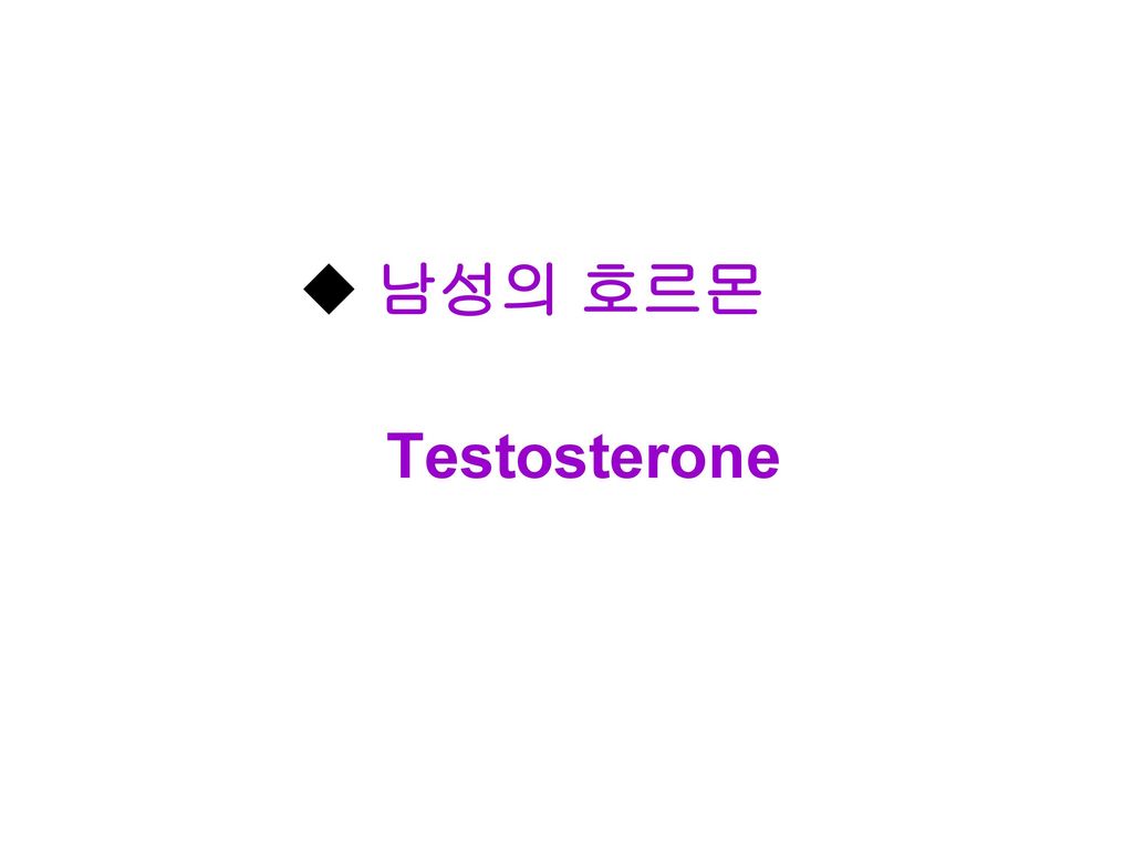 남성의 호르몬 Testosterone
