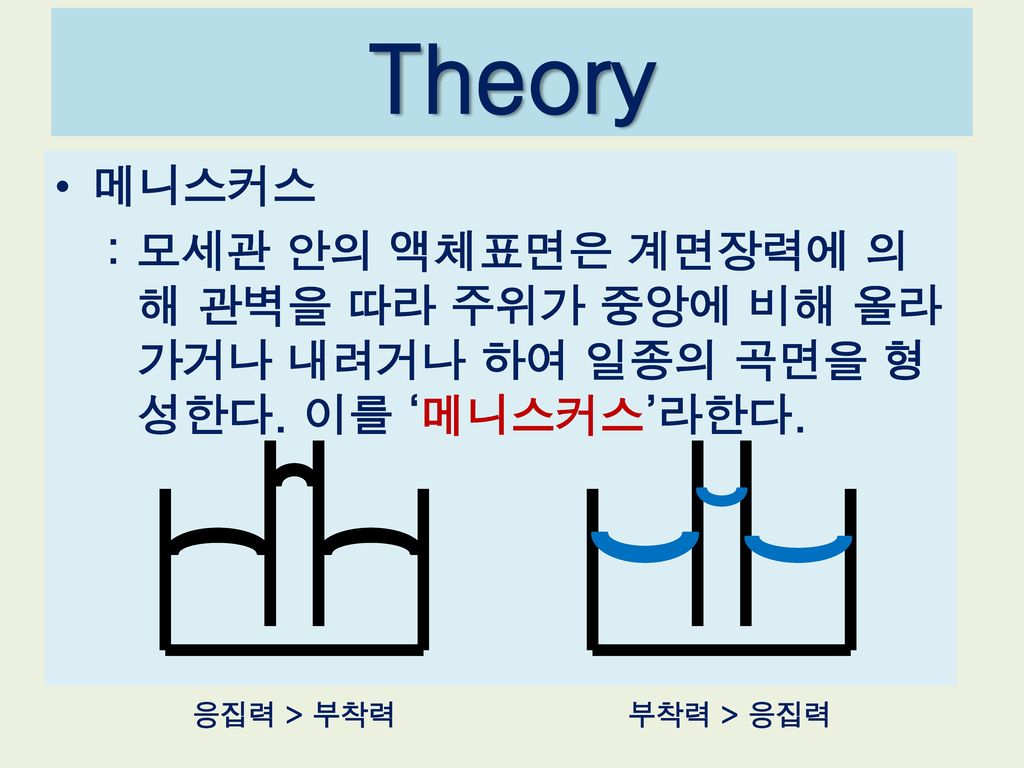 Theory 메니스커스. : 모세관 안의 액체표면은 계면장력에 의해 관벽을 따라 주위가 중앙에 비해 올라가거나 내려거나 하여 일종의 곡면을 형성한다. 이를 ‘메니스커스’라한다.