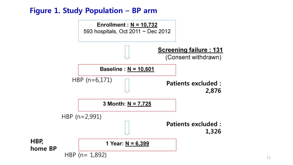 Figure 1. Study Population – BP arm
