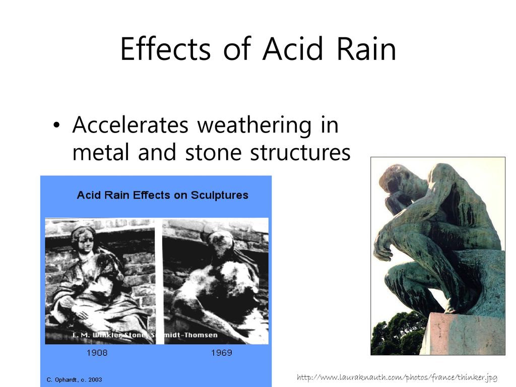 Effects of Acid Rain Accelerates weathering in metal and stone structures.