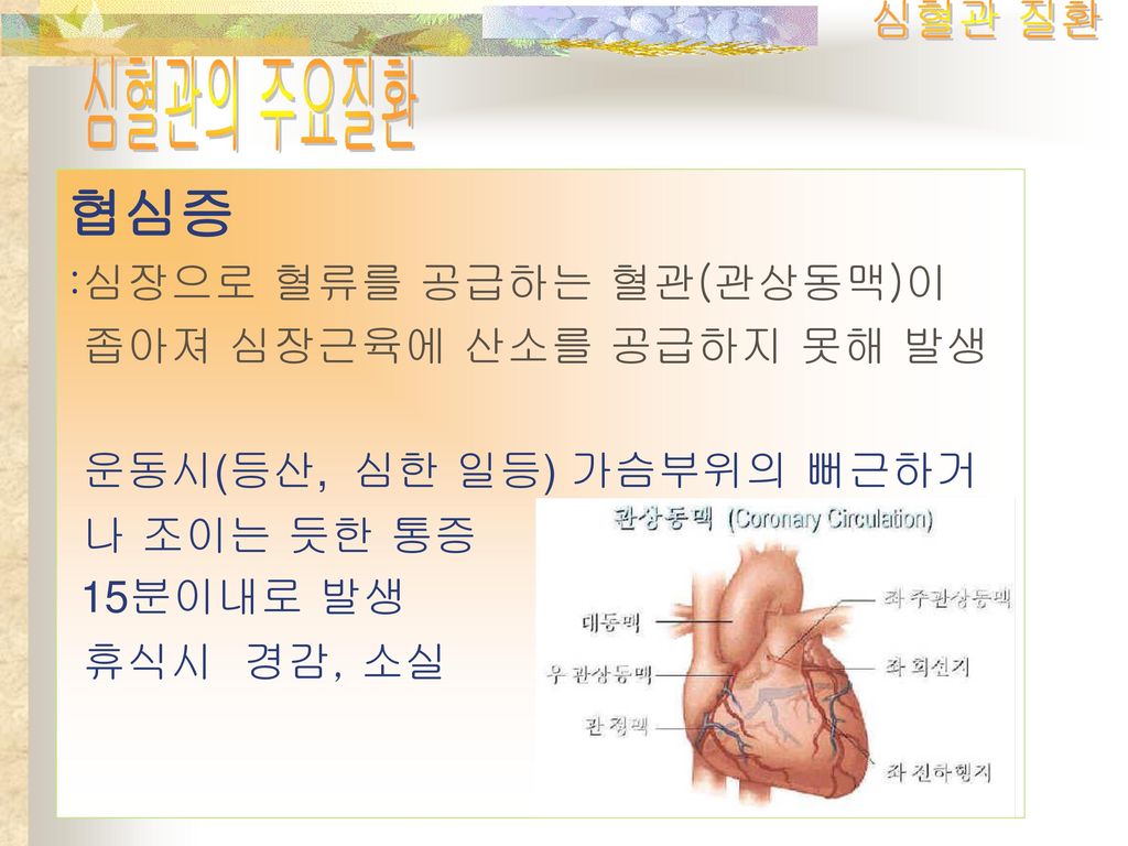 심혈관 질환 심혈관의 주요질환 협심증 :심장으로 혈류를 공급하는 혈관(관상동맥)이 좁아져 심장근육에 산소를 공급하지 못해 발생