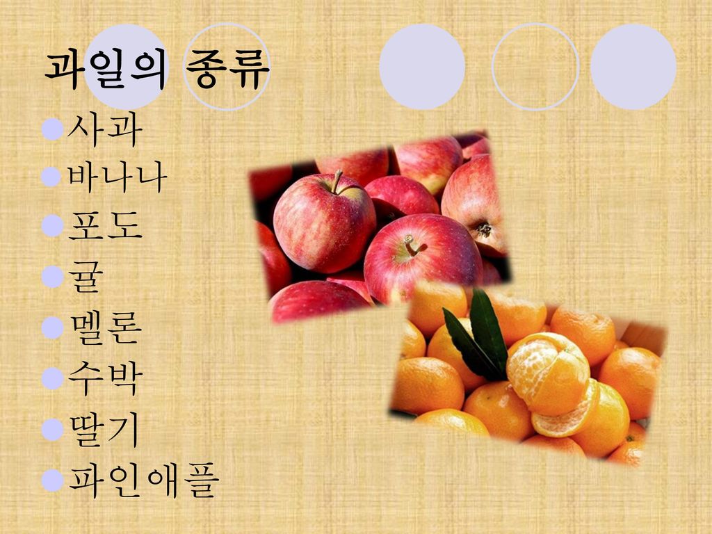 과일의 종류 사과 바나나 포도 귤 멜론 수박 딸기 파인애플
