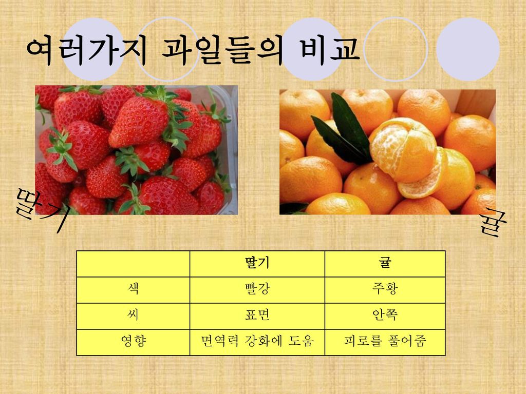 여러가지 과일들의 비교 딸기 귤 딸기 귤 색 빨강 주황 씨 표면 안쪽 영향 면역력 강화에 도움 피로를 풀어줌