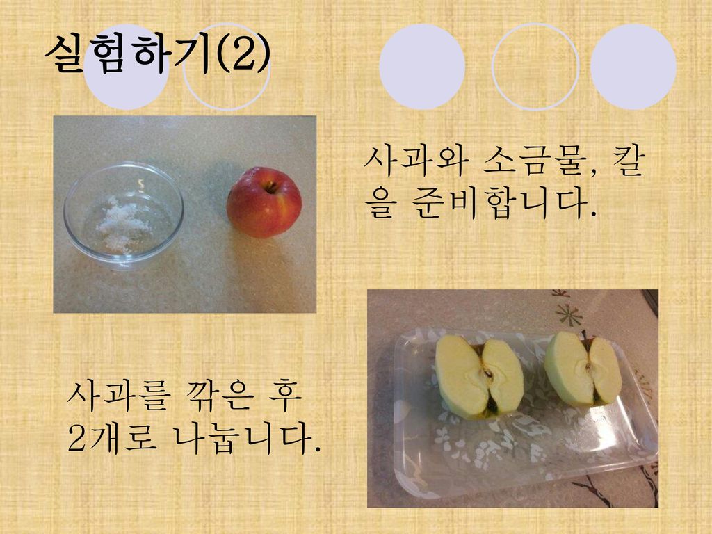 실험하기(2) 사과와 소금물, 칼을 준비합니다. 사과를 깎은 후 2개로 나눕니다.