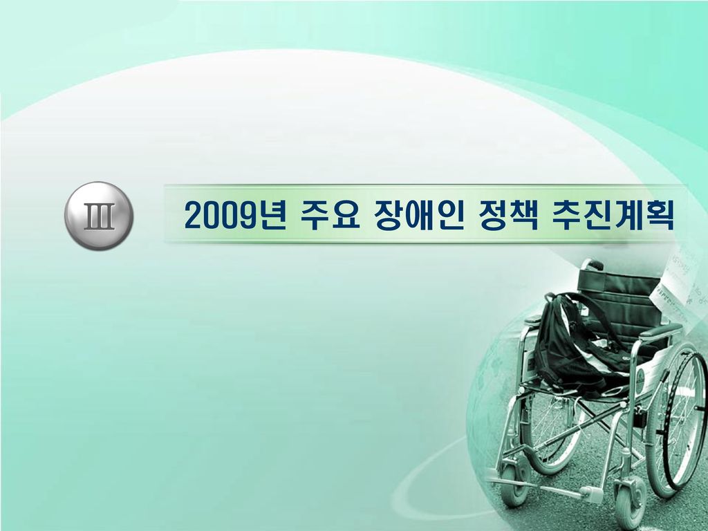 2009년 주요 장애인 정책 추진계획 Ⅲ 3. 그간의 장애인 정책 평가와 한계 (계속) 한 계
