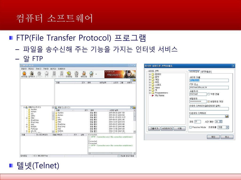 컴퓨터 소프트웨어 FTP(File Transfer Protocol) 프로그램 텔넷(Telnet)