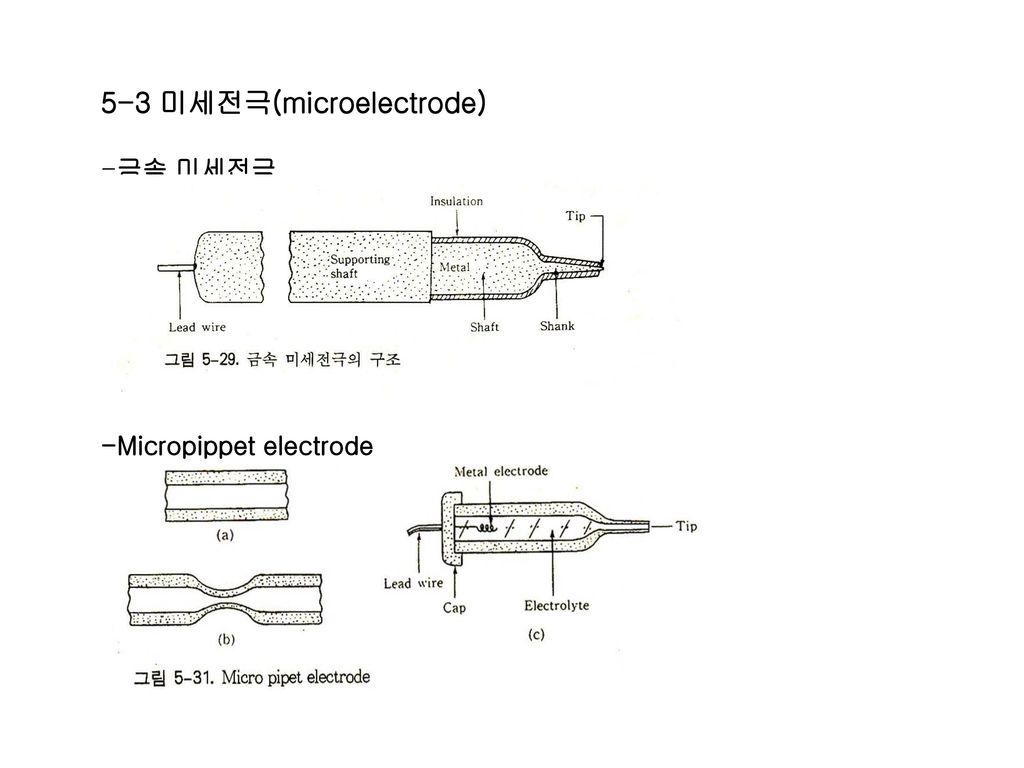 5-3 미세전극(microelectrode)