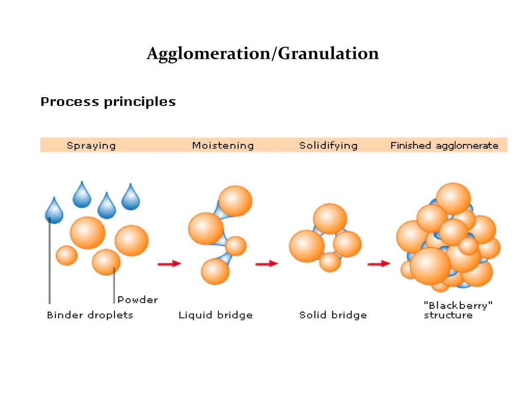Agglomeration/Granulation