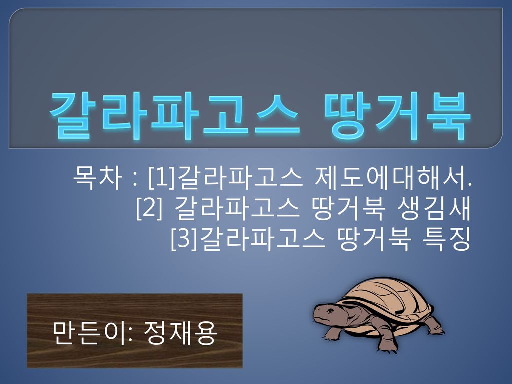 목차 : [1]갈라파고스 제도에대해서. [2] 갈라파고스 땅거북 생김새 [3]갈라파고스 땅거북 특징