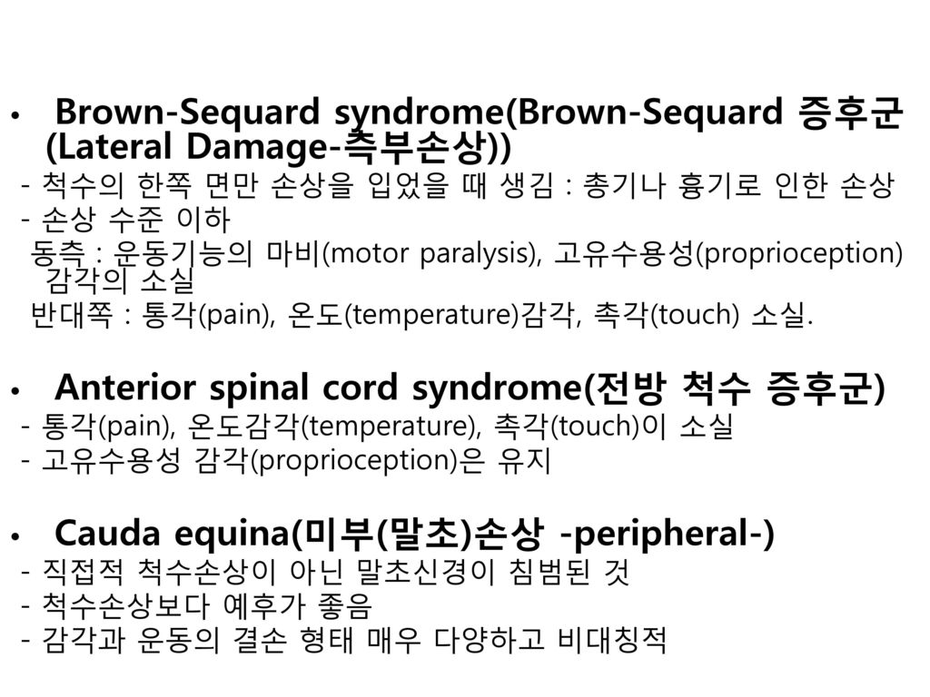 Brown-Sequard syndrome(Brown-Sequard 증후군(Lateral Damage-측부손상))