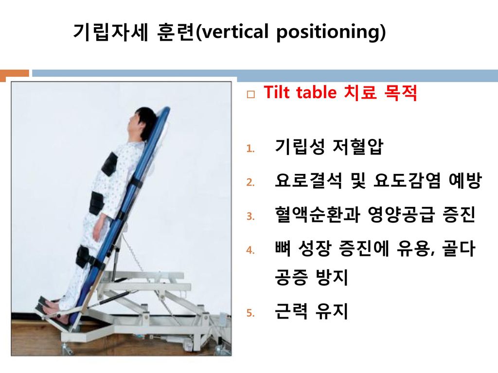 기립자세 훈련(vertical positioning)