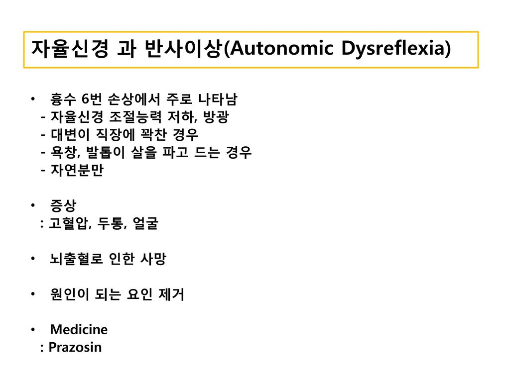 자율신경 과 반사이상(Autonomic Dysreflexia)