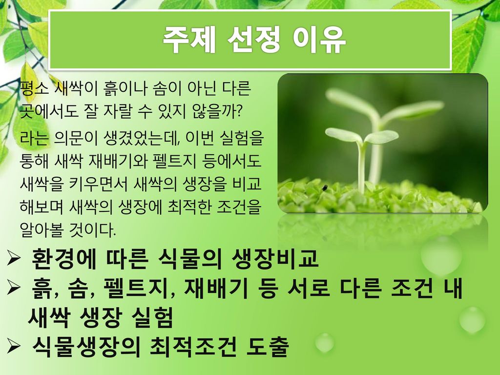환경에 따른 새싹의 생장 비교 토양에 따른 무순의 생장 - Ppt Download