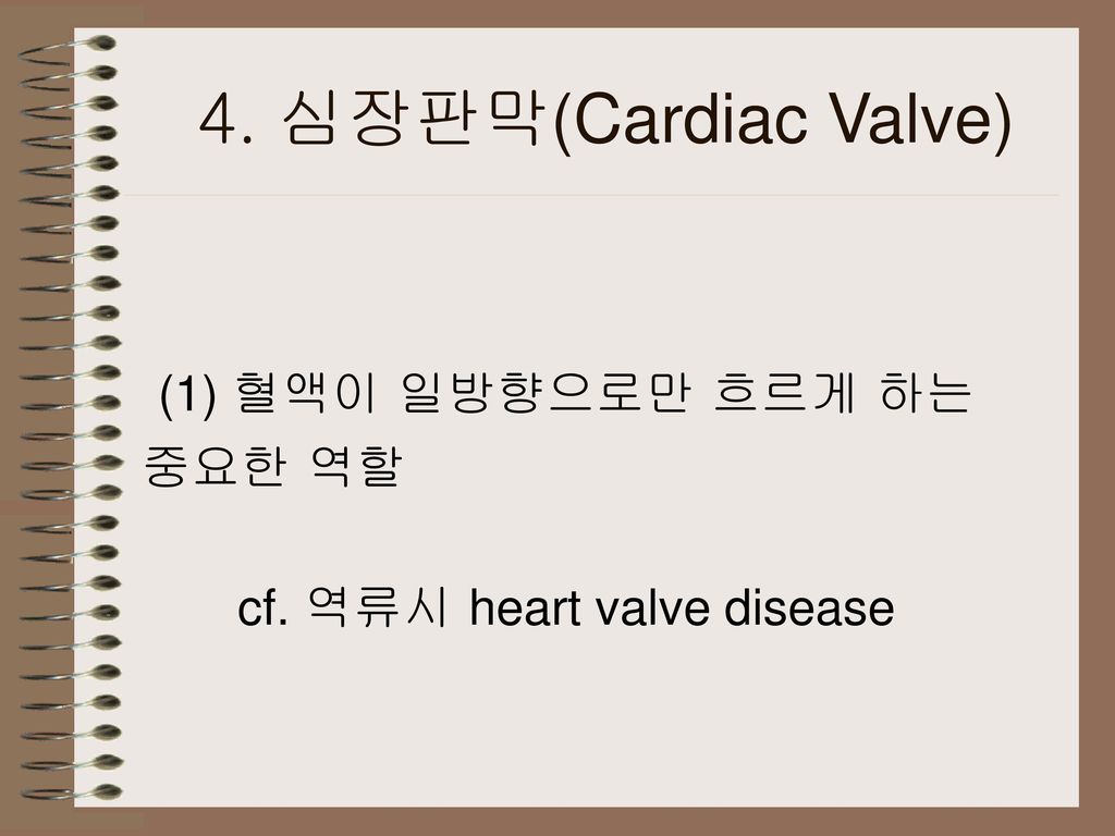 4. 심장판막(Cardiac Valve) (1) 혈액이 일방향으로만 흐르게 하는 중요한 역할
