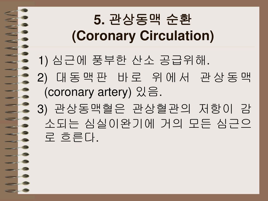 5. 관상동맥 순환 (Coronary Circulation)