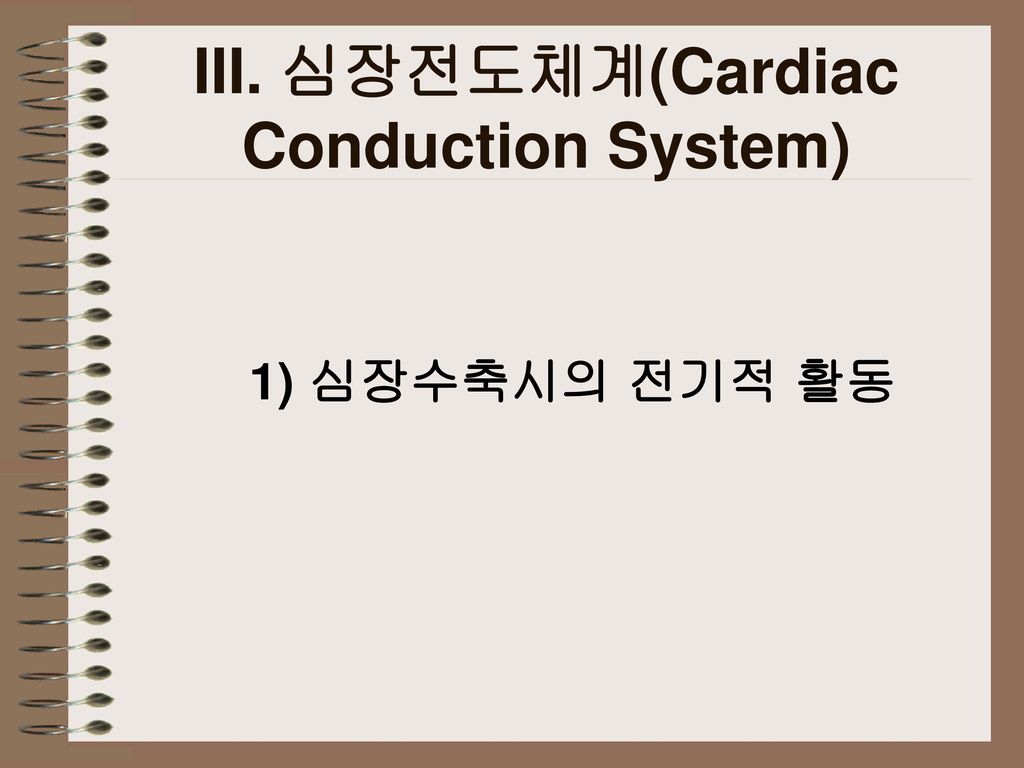 III. 심장전도체계(Cardiac Conduction System)
