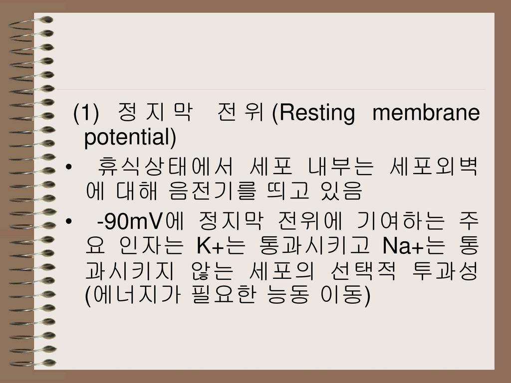 (1) 정지막 전위(Resting membrane potential)
