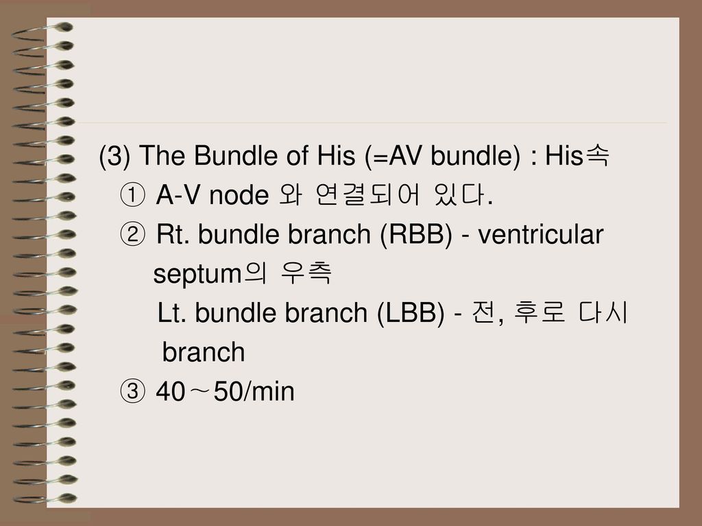 (3) The Bundle of His (=AV bundle) : His속