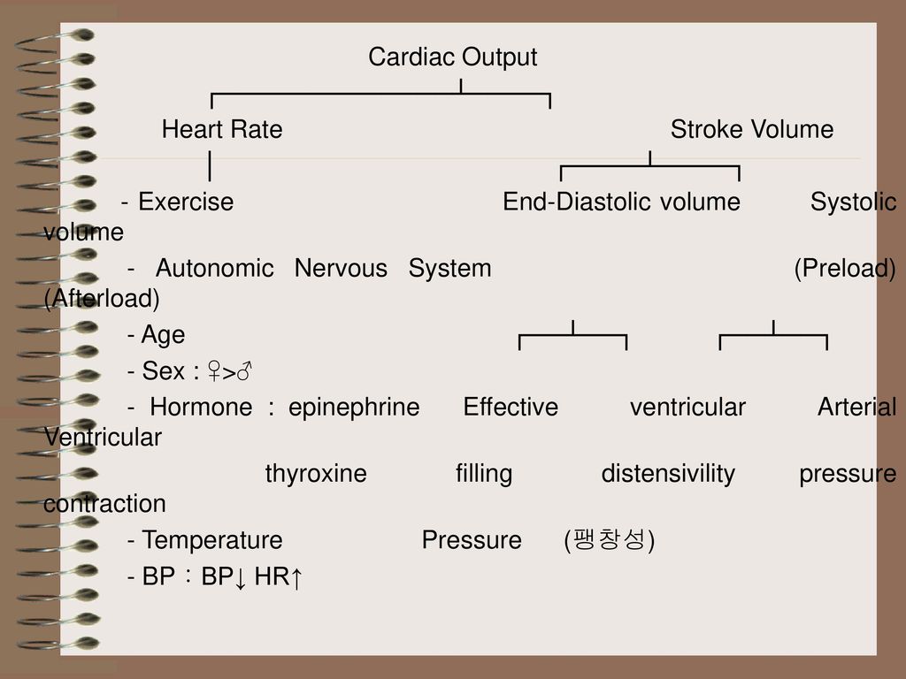 Cardiac Output ┌─────────────┴────┐ Heart Rate Stroke Volume.