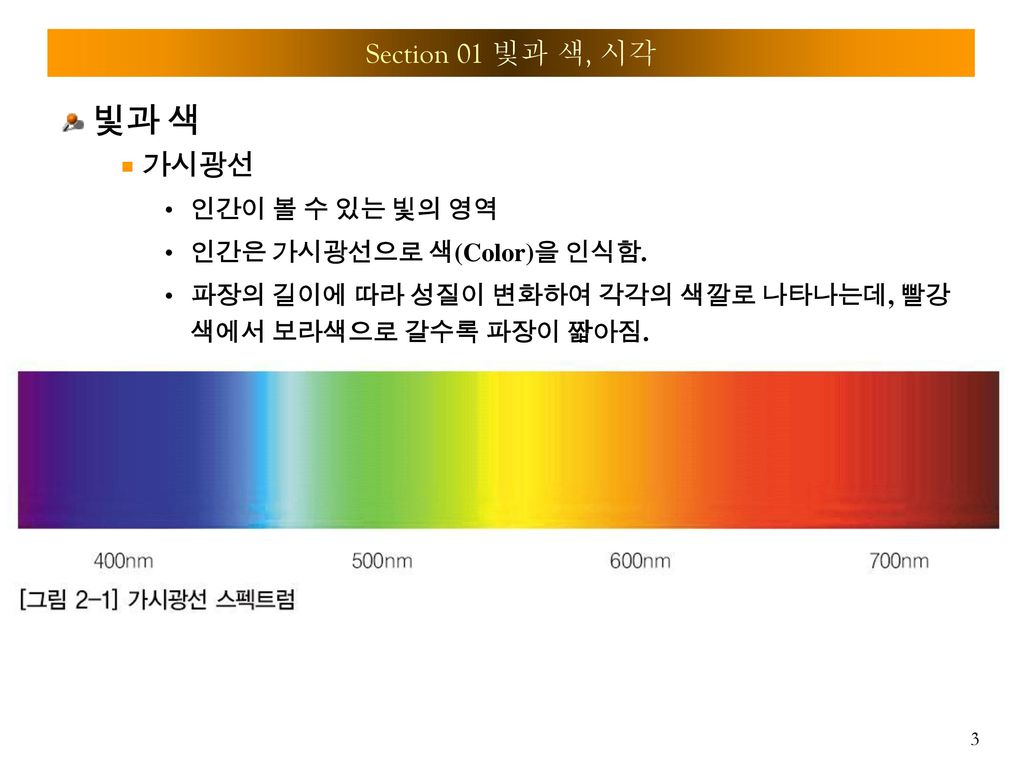 빛과 색 Section 01 빛과 색, 시각 가시광선 인간이 볼 수 있는 빛의 영역