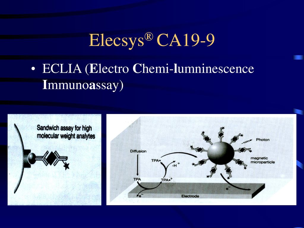 Elecsys® CA19-9 ECLIA (Electro Chemi-lumninescence Immunoassay)