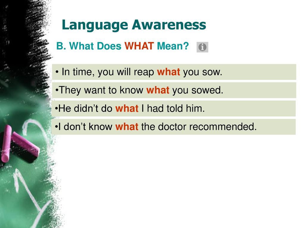 Language Awareness B. What Does WHAT Mean