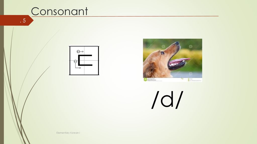 Consonant /d/ Elementary Korean I