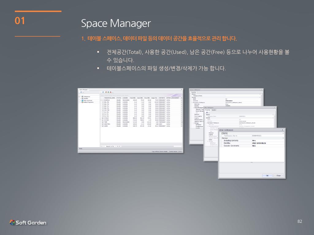 Space Manager 테이블 스페이스, 데이터 파일 등의 데이터 공간을 효율적으로 관리 합니다.