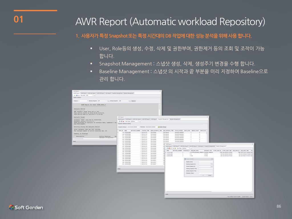 AWR Report (Automatic workload Repository)