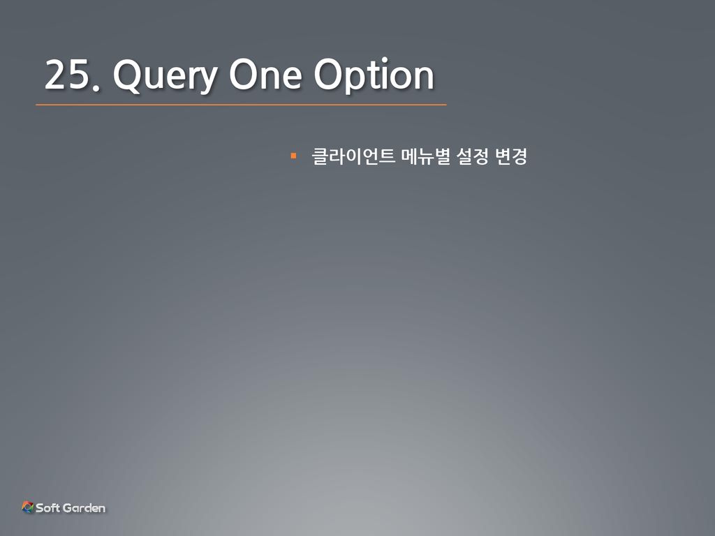 25. Query One Option 클라이언트 메뉴별 설정 변경
