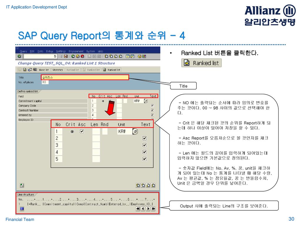 SAP Query Report의 통계와 순위 - 4