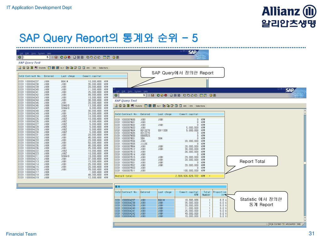 SAP Query Report의 통계와 순위 - 5