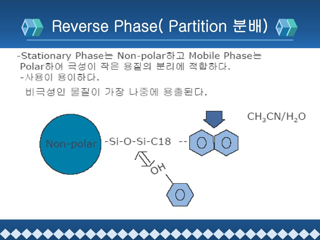 Reverse Phase( Partition 분배)