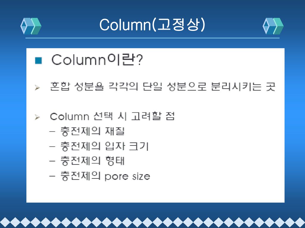 Column(고정상)
