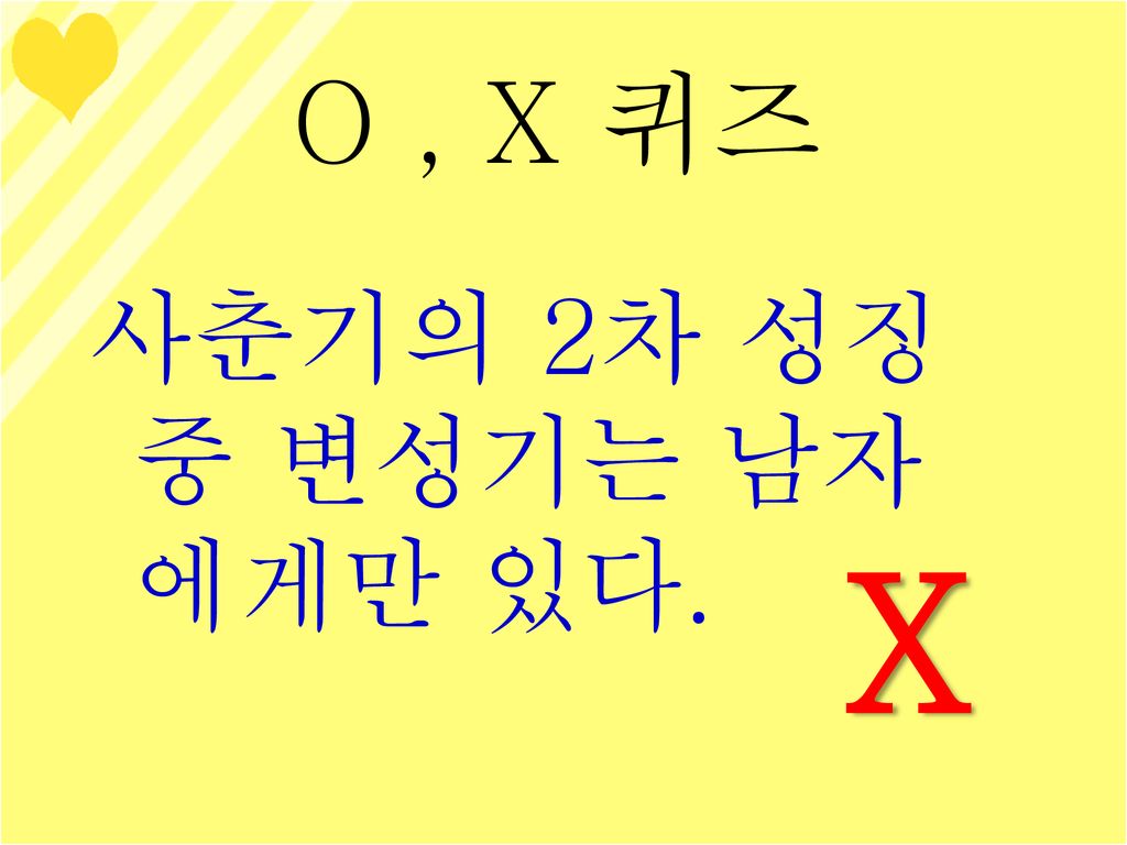 O , X 퀴즈 사춘기의 2차 성징 중 변성기는 남자에게만 있다. X